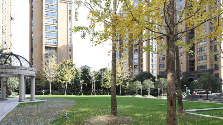 蔚兰星城外景图