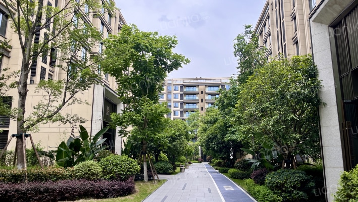 学宸名著T1组团外景图