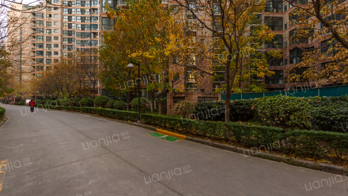 紫昕花庭外景图