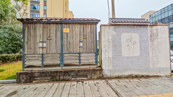 桐星大道外景图