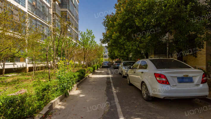 泰山绿色家园外景图