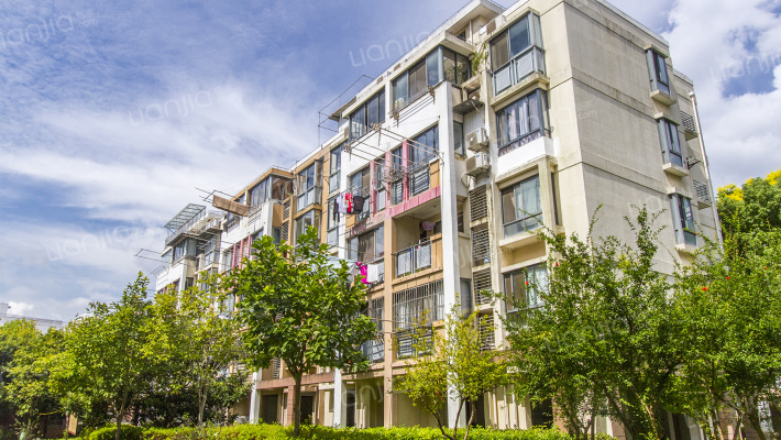 世博家园十一街坊外景图