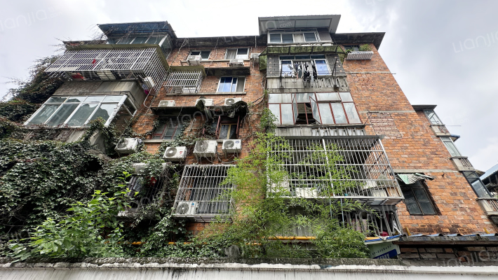 文庙后街33号外景图