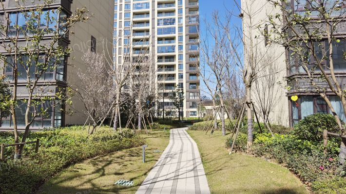 中南樾府外景图