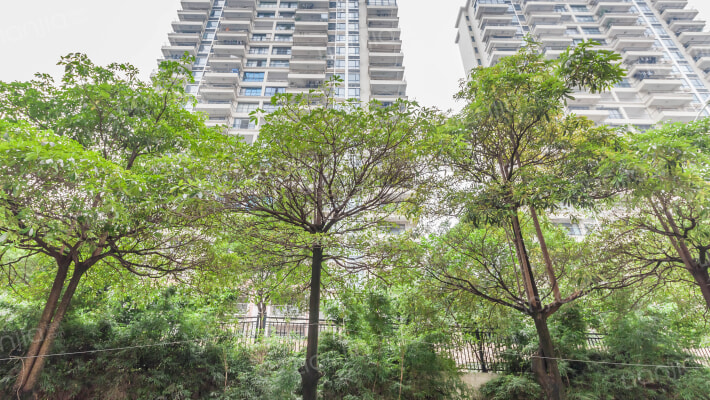 大光勘统建楼外景图