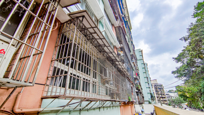 江岚雅社外景图