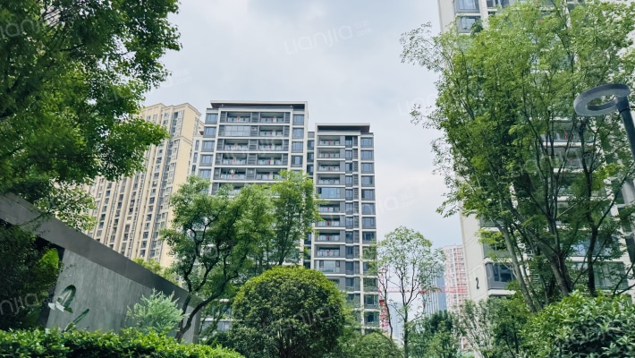 万科星光都会外景图