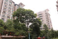 墨香山庄3