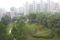 蜂鸟家园15