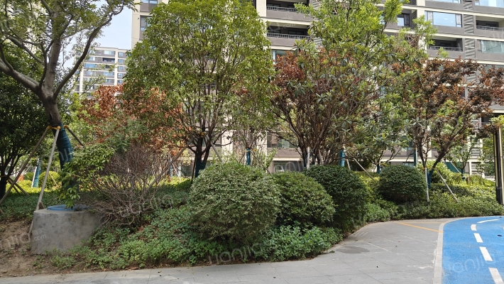 金辉·信步兰庭外景图