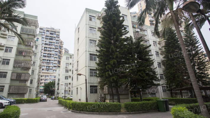 丽岛花园外景图