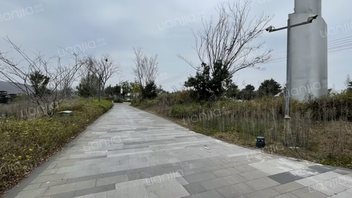 中交绿城·桃源小镇外景图