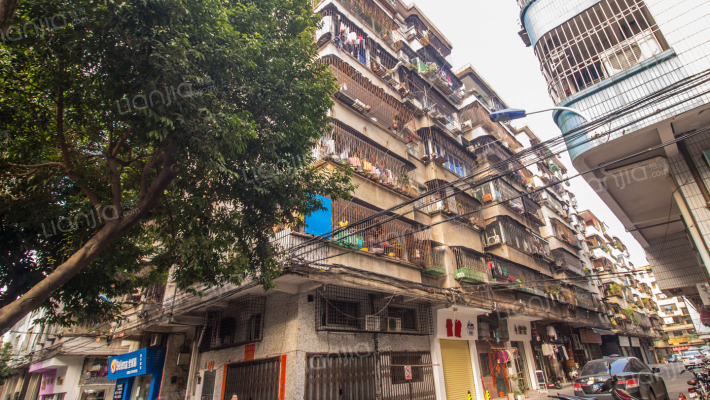 梅花街11号外景图