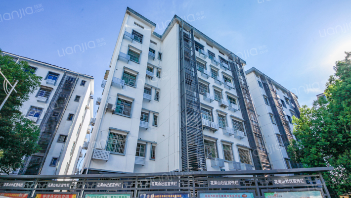 新建大道547号外景图