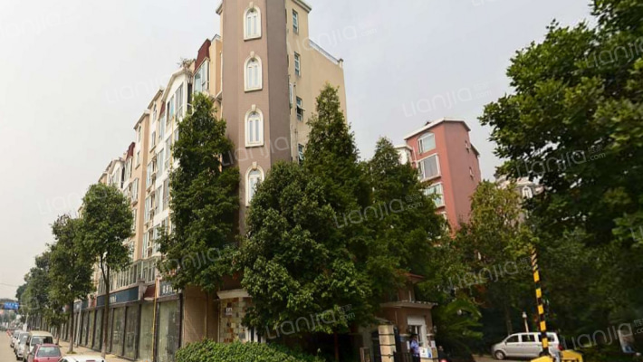 美洲花园三期外景图