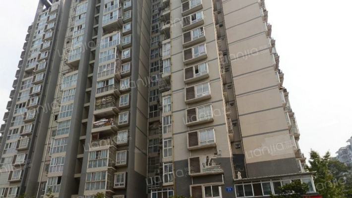 一品荷花外景图