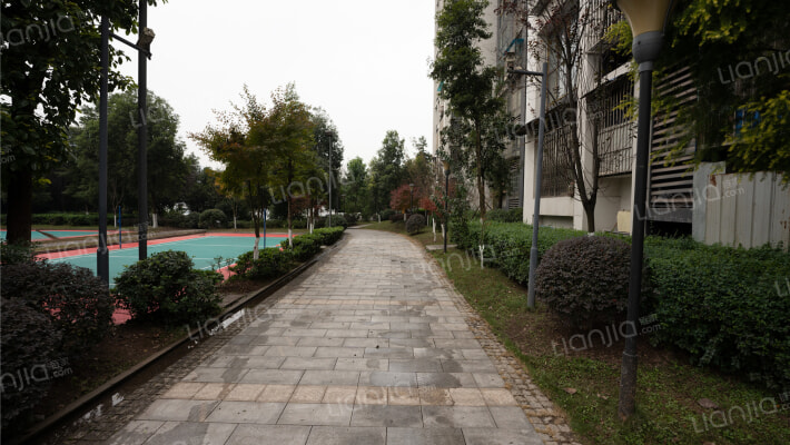 永缘城市交响外景图