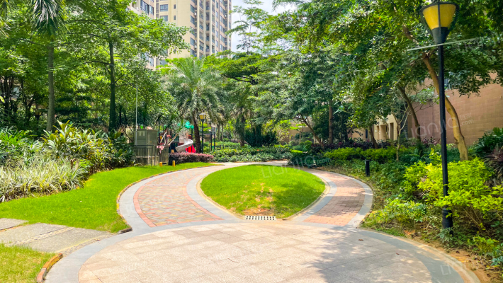 光明花半里一区外景图