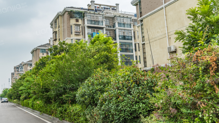 华商清水湾东区外景图