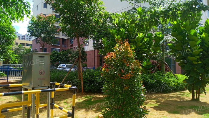 海口金地华府房价怎么样金地华府房源户型图小区车位交通地址详情分析