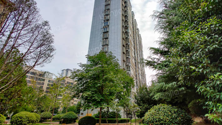 群星莱骊3加外景图