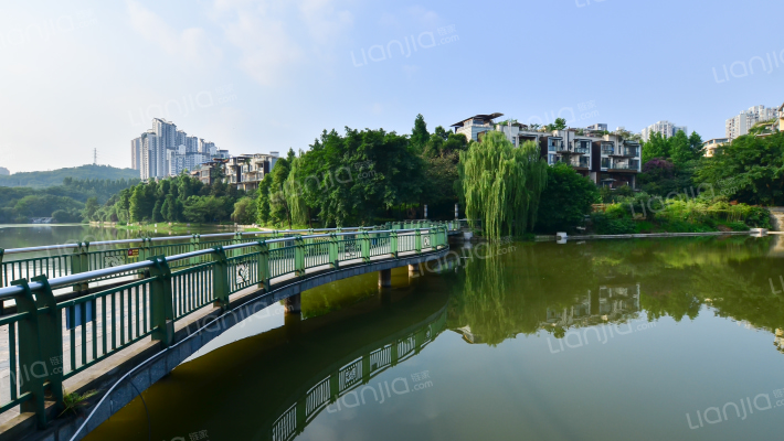 金科天湖美镇外景图