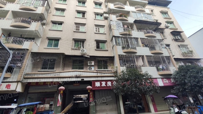 和平街11号外景图