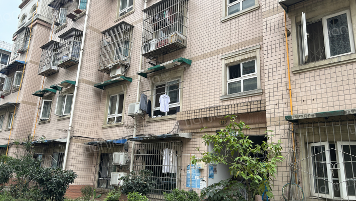 棕南华苑外景图