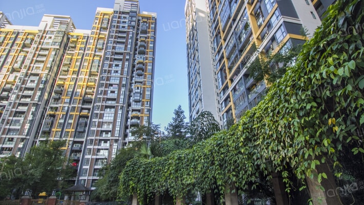 珠江国际花园外景图