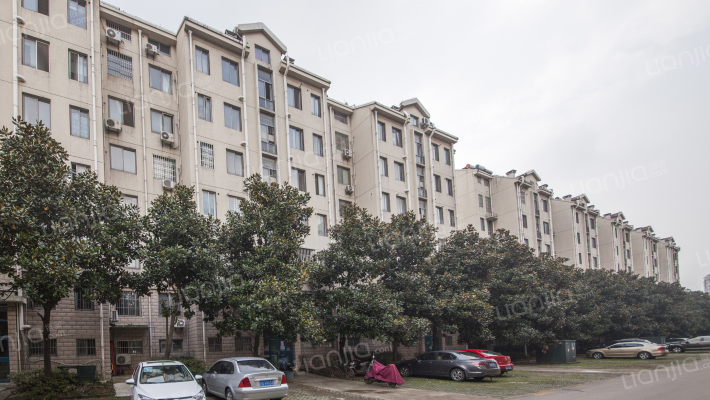 风和日丽外景图