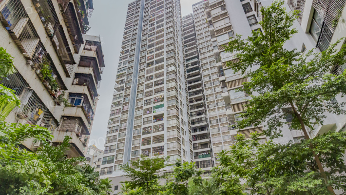 印象麦地外景图