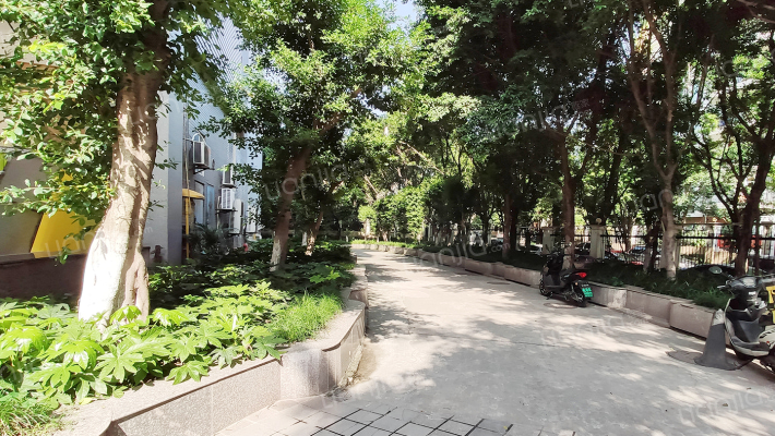 碧海龙庭外景图