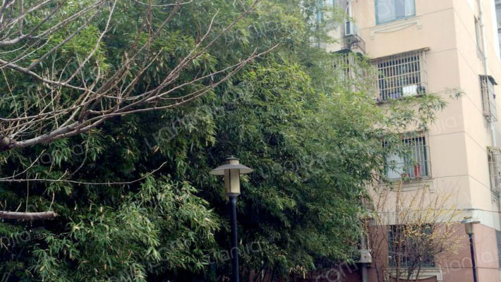 兰州路1151弄外景图