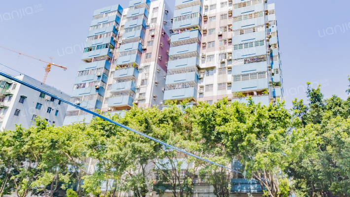 新市中学教师楼外景图