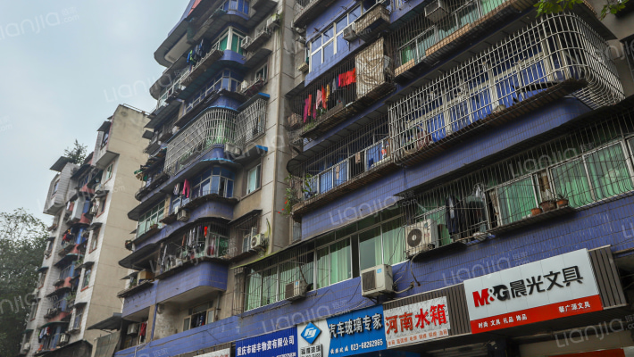 毛背沱145号外景图