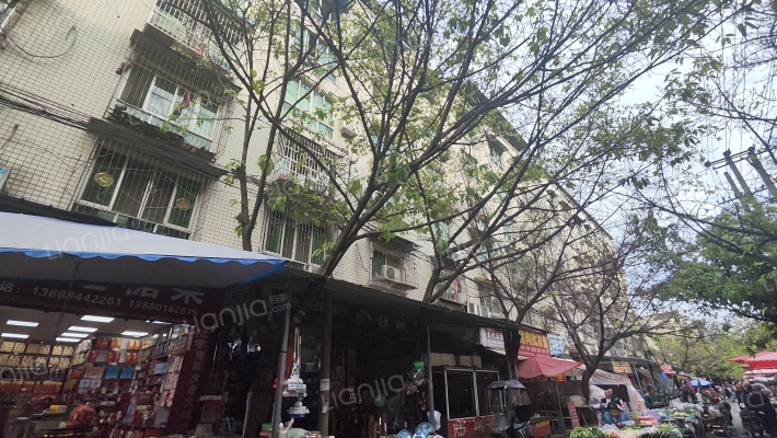 建设大院外景图