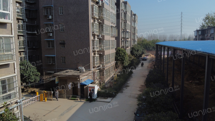 雁雀花园B外景图