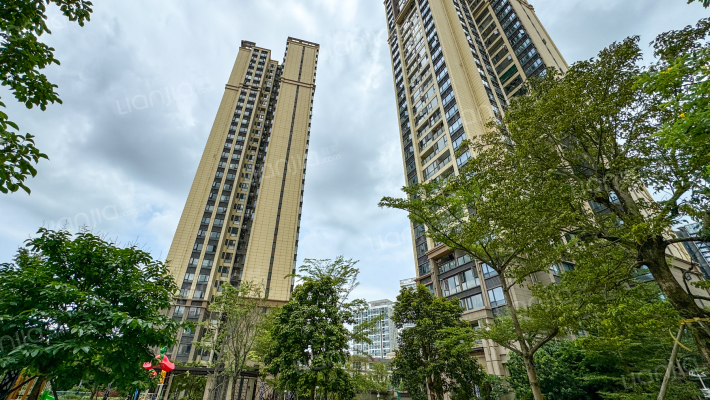 新霖荟邑外景图