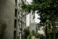 摩根中心15