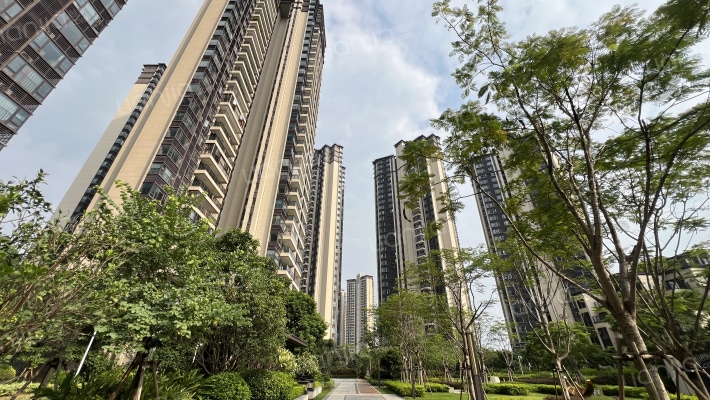 金融街·金悦府外景图