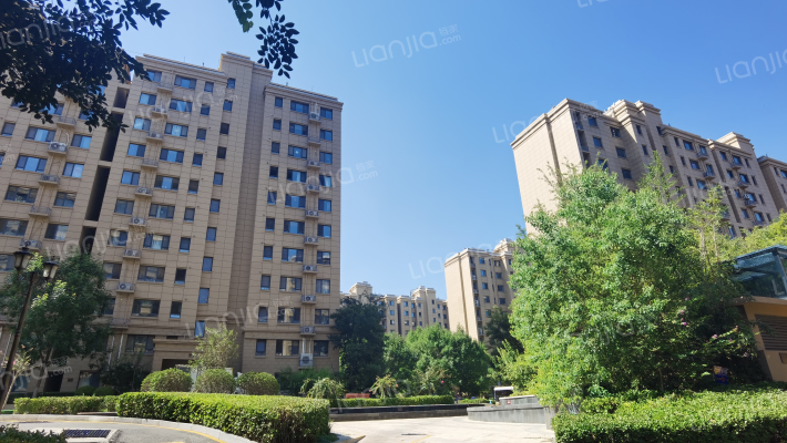 银丰唐郡玫瑰园外景图