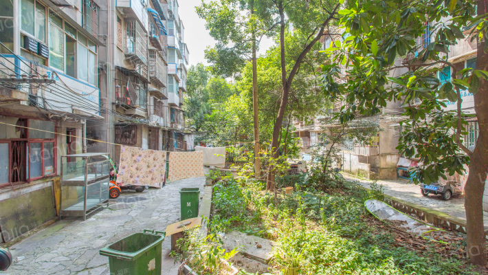 温馨小院外景图