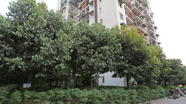 金洁南桥晓月外景图