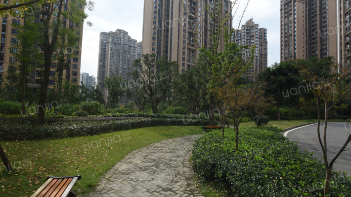 申佳上海时光外景图