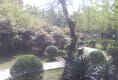 阳城景园2
