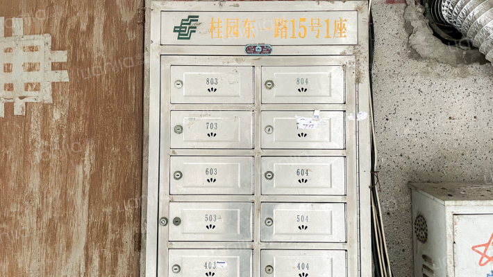 桂园东一路外景图