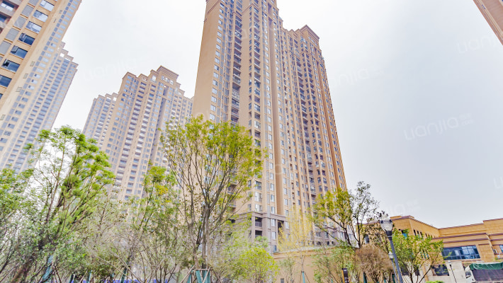 蓝光林肯公园外景图