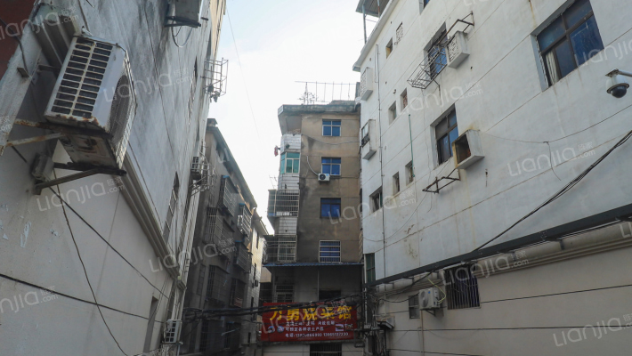 后港洲东村外景图