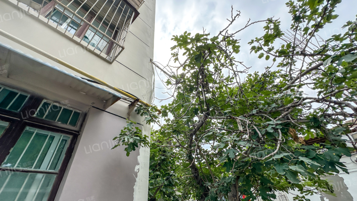 聋哑学校家属院外景图