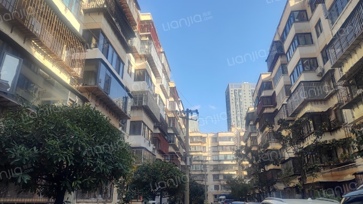 金星园丁小区外景图